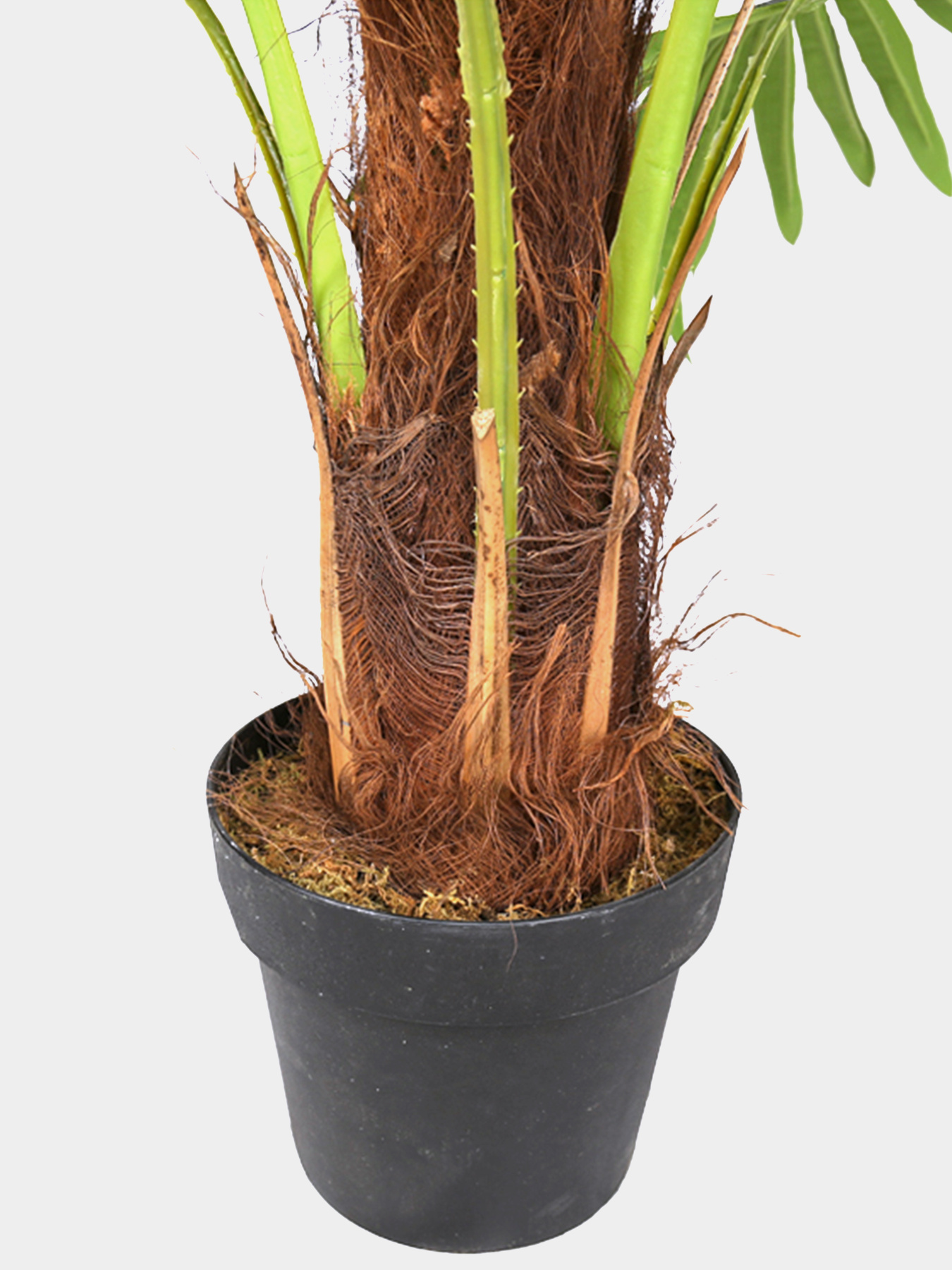 Штучна рослина "Fan Palm" Engard модель DW-27 Штучна рослина "Fan Palm" Engard модель DW-27 Фото