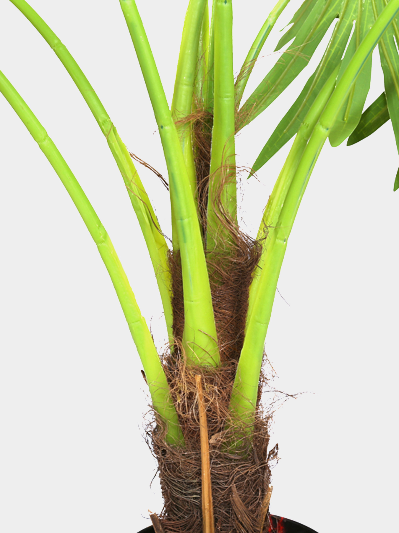Штучна рослина "Fan Palm" Engard модель DW-27 Штучна рослина "Fan Palm" Engard модель DW-27 Фото