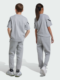 Штани Adidas ZNE модель JI7543 Фото