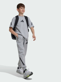 Штани Adidas ZNE модель JI7543 Фото