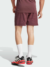 Шорты Adidas модель JL8667 Фото