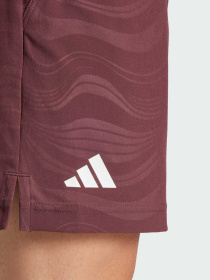 Шорты Adidas модель JL8667 Фото