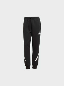 Штани Adidas ZNE модель JC9309 Фото