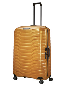 Дорожные сумки и чемоданы Samsonite модель CW606006 Фото