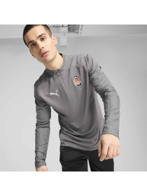 Худи и свитшоты PUMA Fcsd Trg 1/4 Zip Top Pro модель 777854 Фото