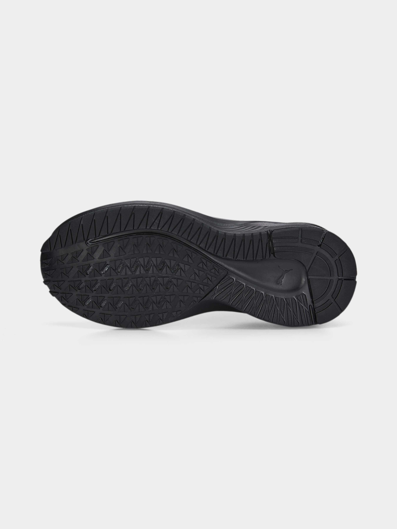 Кросівки PUMA Aviator Profoam Sky модель 376615 Фото