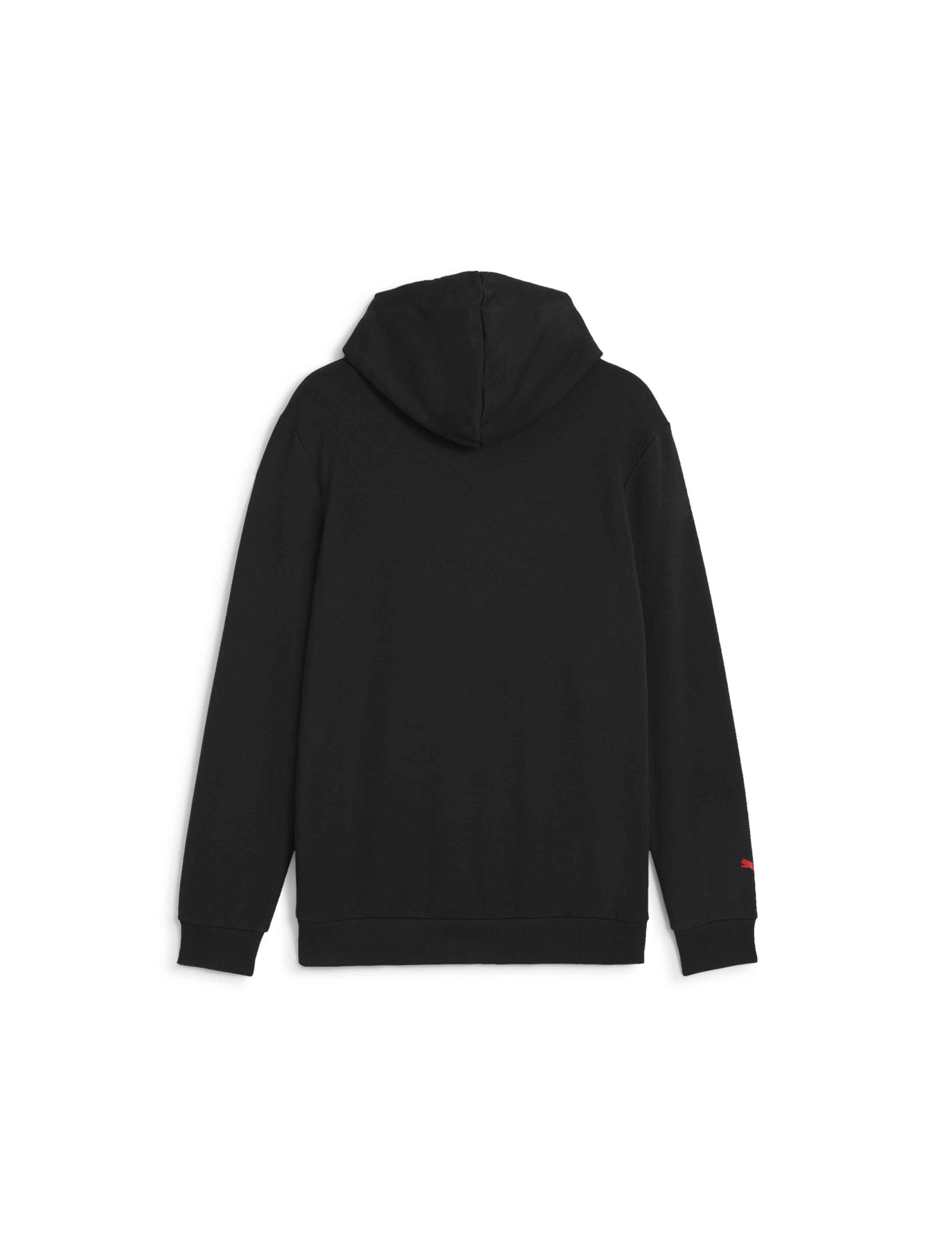 Худи и свитшоты PUMA F1 Ess Logo Hoodie модель 625853 Фото