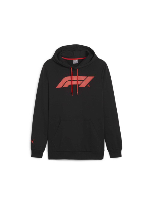 Худи и свитшоты PUMA F1 Ess Logo Hoodie модель 625853 Фото