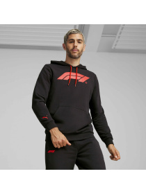 Худи и свитшоты PUMA F1 Ess Logo Hoodie модель 625853 Фото
