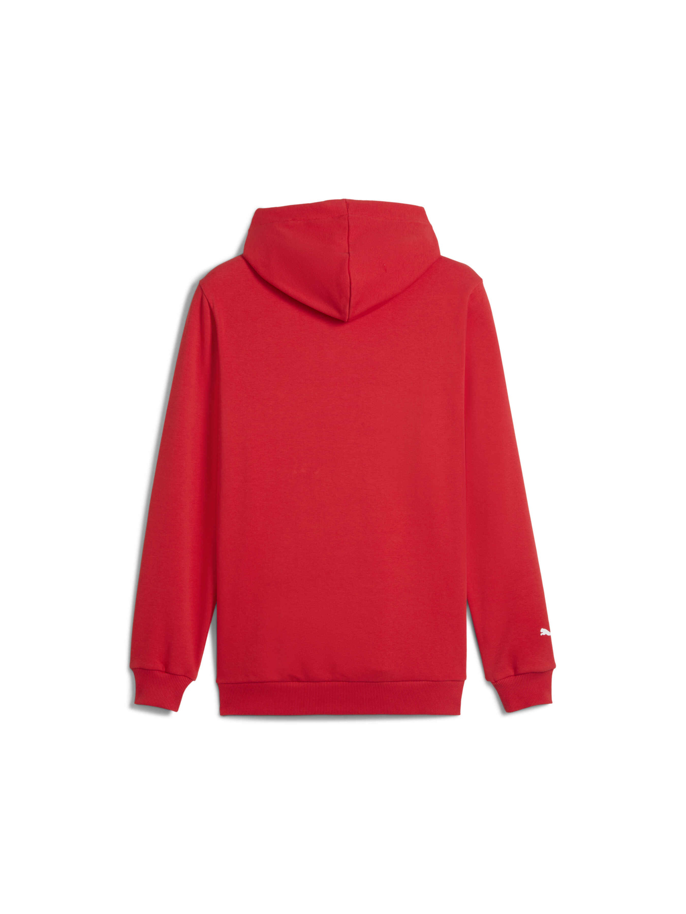 Худи и свитшоты PUMA F1 Ess Logo Hoodie модель 625853 Фото