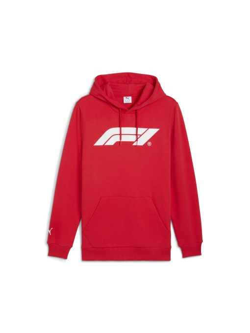 Худи и свитшоты PUMA F1 Ess Logo Hoodie модель 625853 Фото
