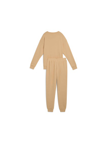 Костюмы PUMA Relaxed Sweat Suit Tr Cl модель 685074 Фото