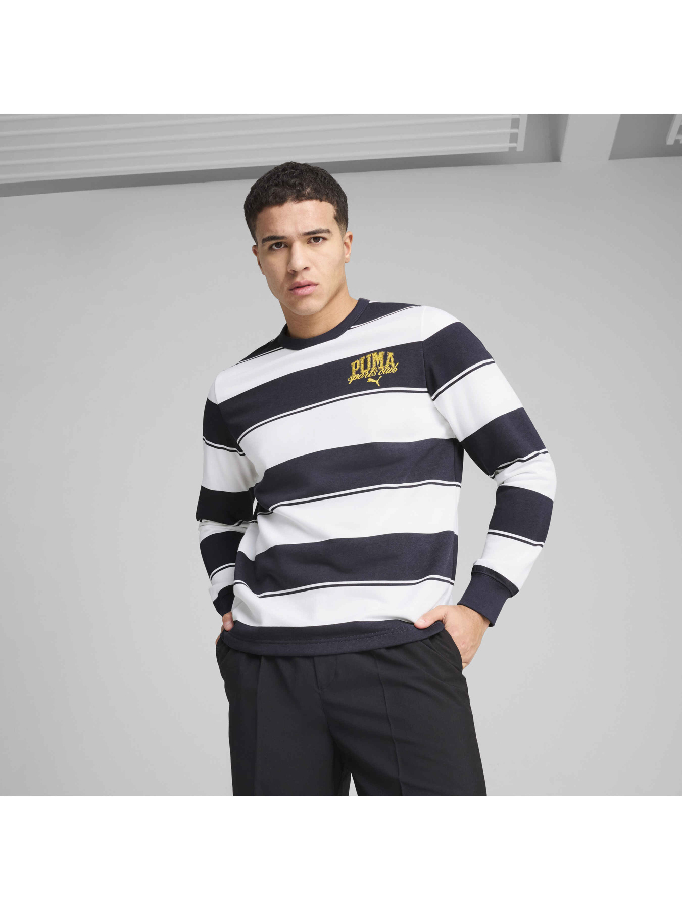 Худи и свитшоты PUMA Class Striped Crew модель 684647 Фото
