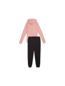 Костюми PUMA Hooded Sweat Suit модель 685077 Фото