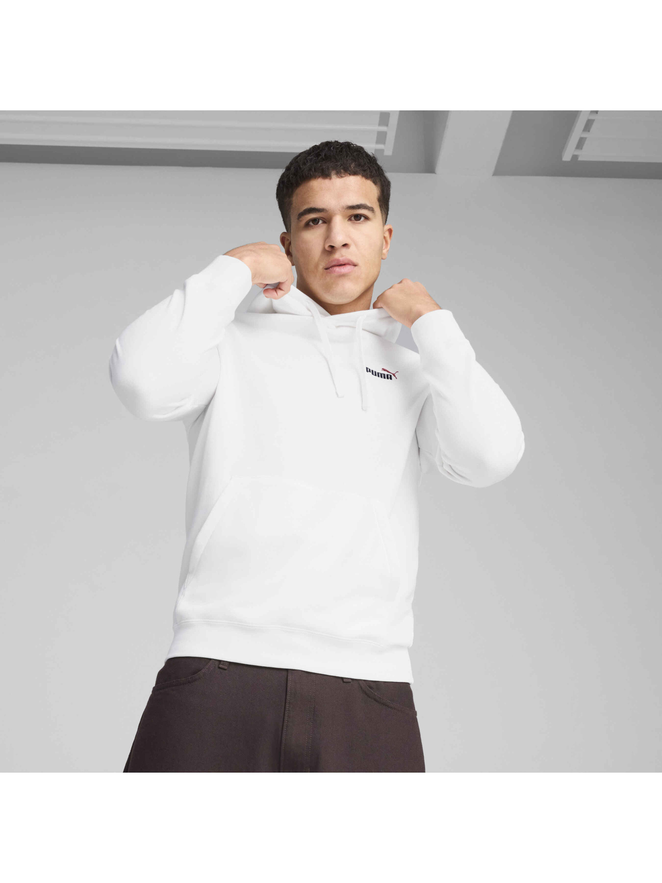 Худи и свитшоты PUMA Ess 2 Color Logo Hoodie модель 684719 Фото