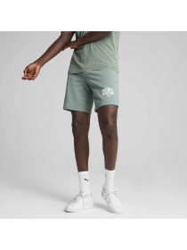 Шорты PUMA Class Shorts модель 684653 Фото