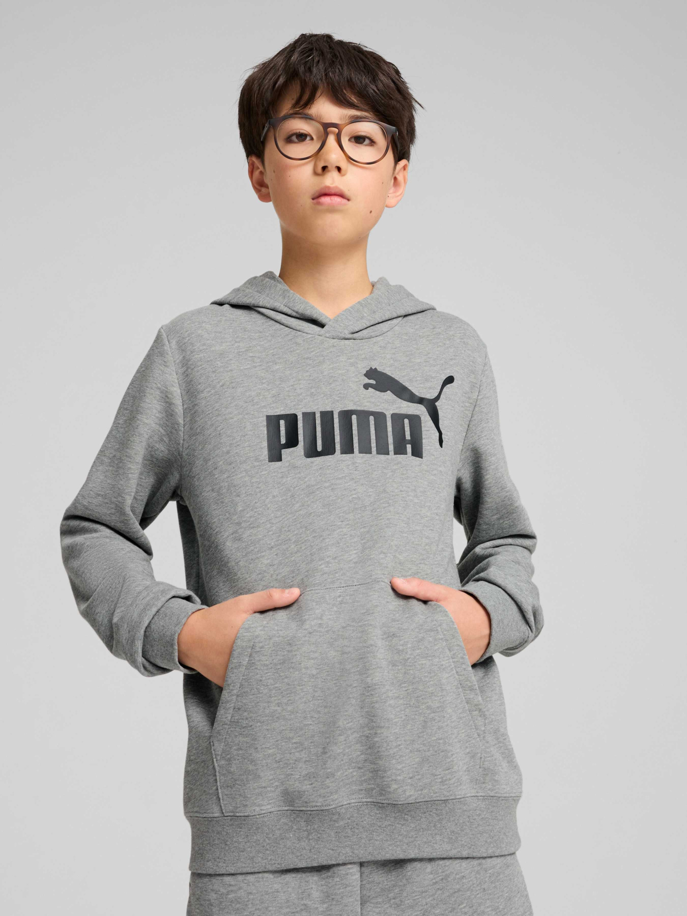 Худі та світшоти PUMA Ess No. 1 Logo Hoodie Tr модель 684909 Худі та світшоти PUMA Ess No. 1 Logo Hoodie Tr модель 684909 Фото