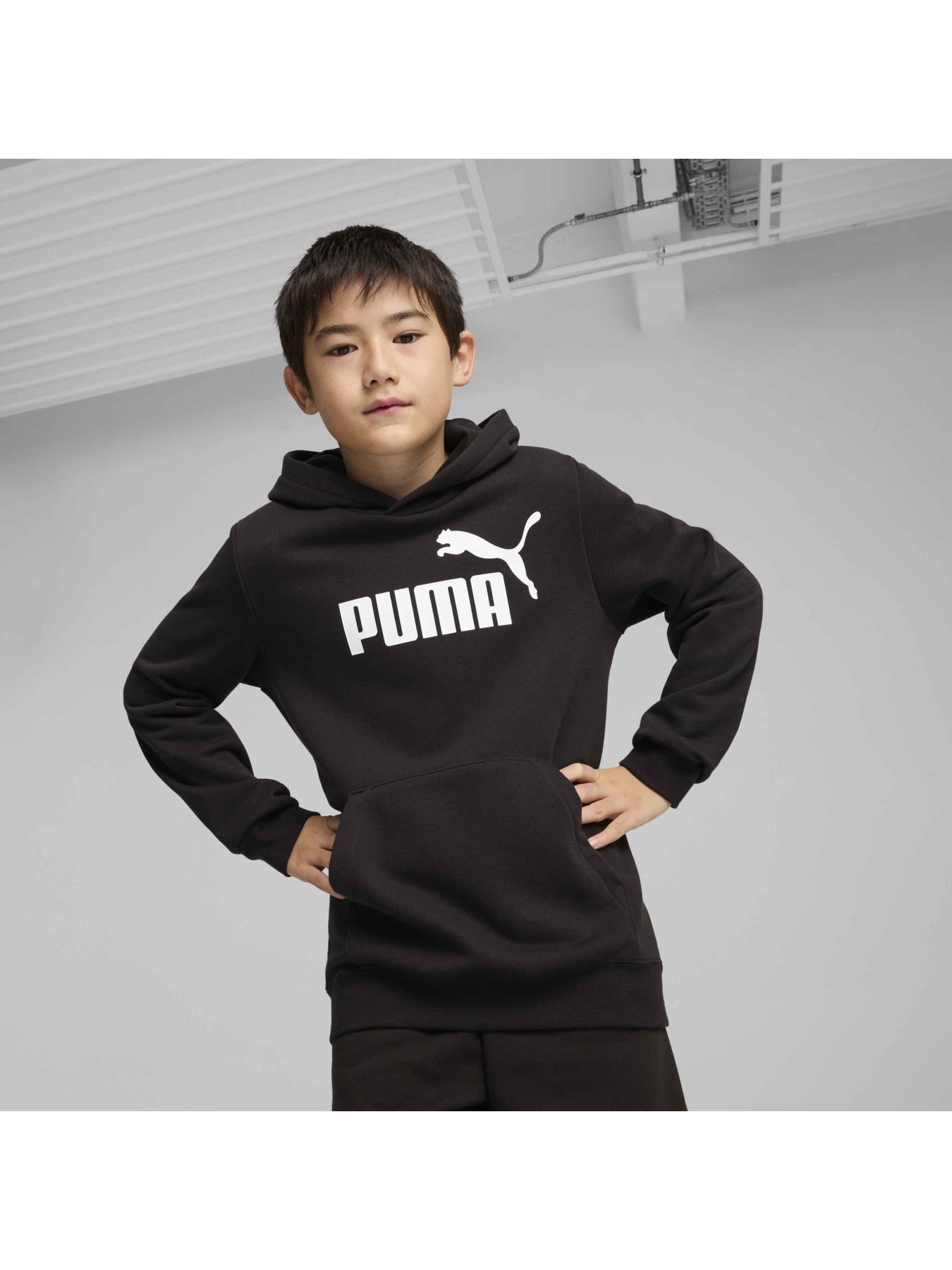 Худі та світшоти PUMA Ess No. 1 Logo Hoodie Tr модель 684909 Худі та світшоти PUMA Ess No. 1 Logo Hoodie Tr модель 684909 Фото