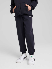 Штани PUMA Ess No. 1 Logo Sweatpants Tr модель 684914 Фото