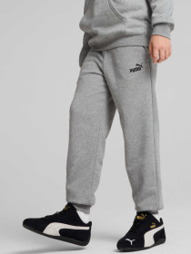 Брюки PUMA Ess No. 1 Logo Sweatpants Tr модель 684914 Фото