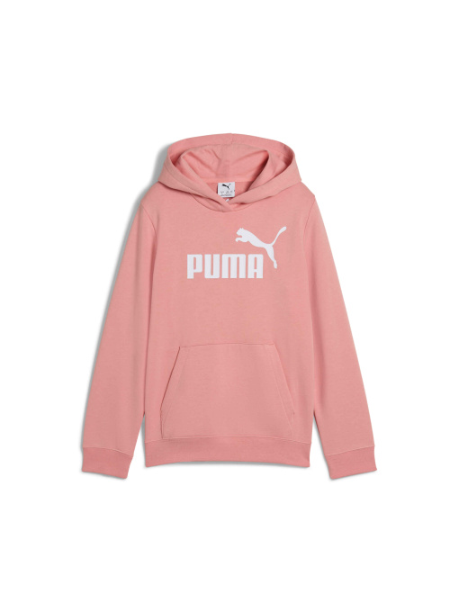 Худі та світшоти PUMA Ess No. 1 Logo Hoodie модель 684897 Фото