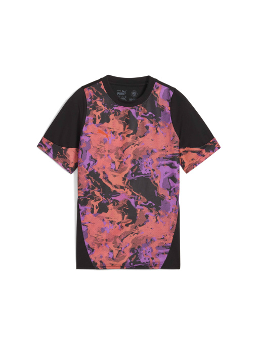 Футболки и поло PUMA Individualcup Jersey Jr модель 659894 Фото