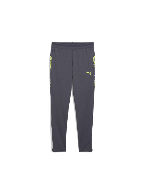Штани PUMA Individualcup Trg Pants Jr модель 659901 Фото