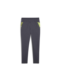 Штани PUMA Individualcup Trg Pants Jr модель 659901 Фото