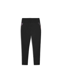 Штани PUMA Individualcup Trg Pants Jr модель 659901 Фото