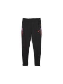 Штани PUMA Individualcup Trg Pants Jr модель 659901 Фото