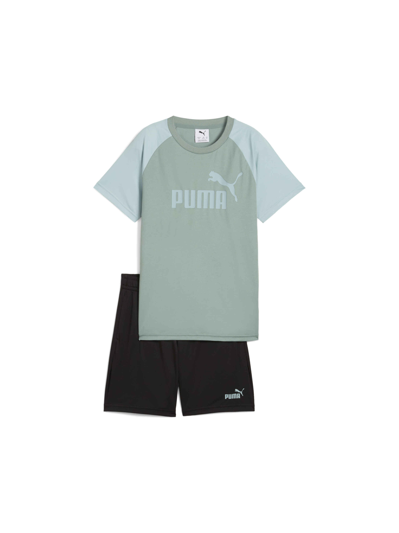 Костюмы PUMA Ess Poly Tee And Shorts Set модель 686299 Костюмы PUMA Ess Poly Tee And Shorts Set модель 686299 Фото