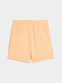 Шорти PUMA Ess No. 1 Logo Shorts модель 682441 Фото