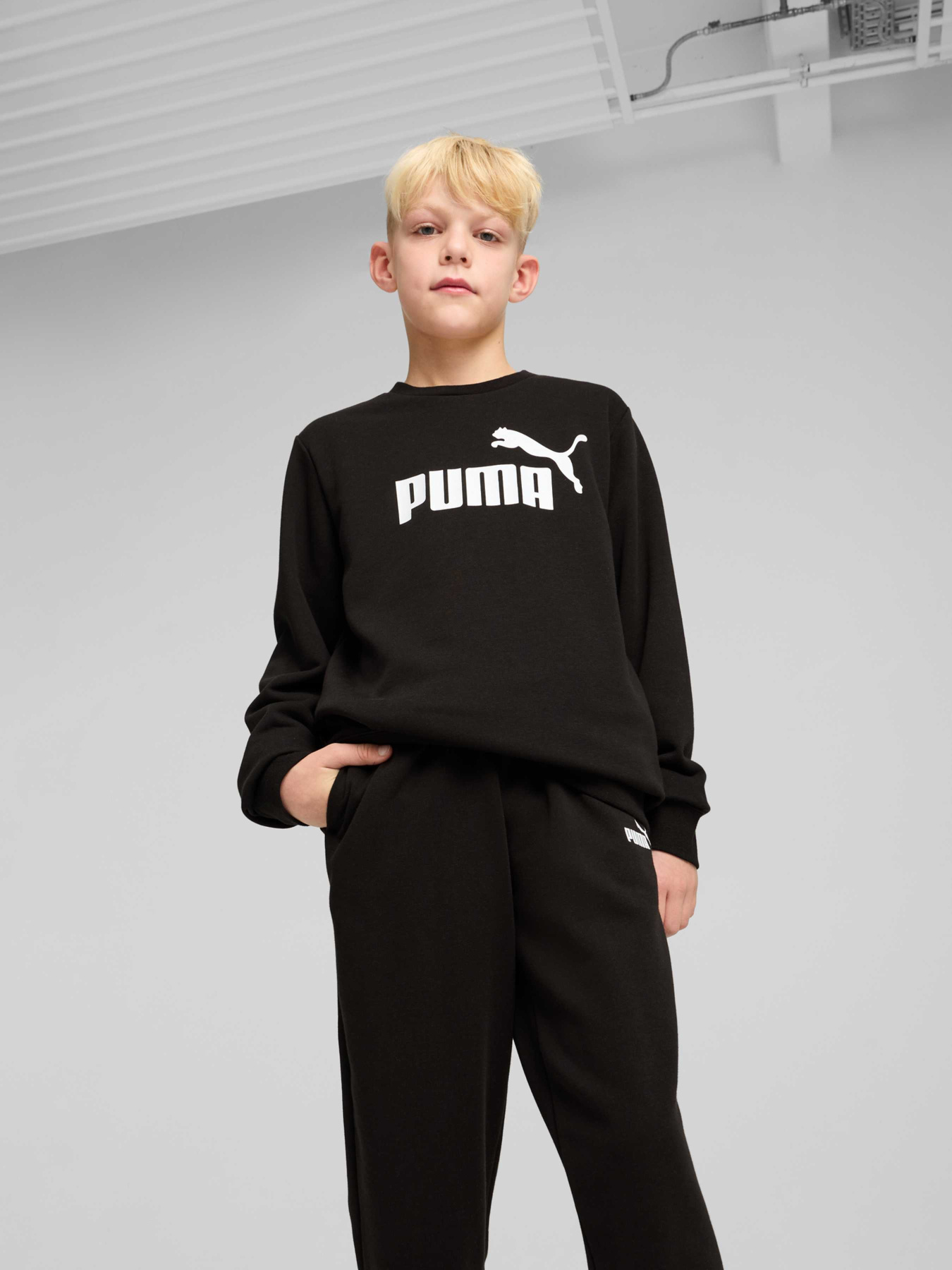 Костюми PUMA Ess Logo Crew Sweat Suit Tr модель 686296 Фото