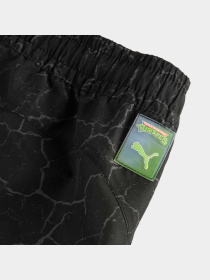 Штани PUMA x Tmnt Cargo Pants модель 630088 Фото