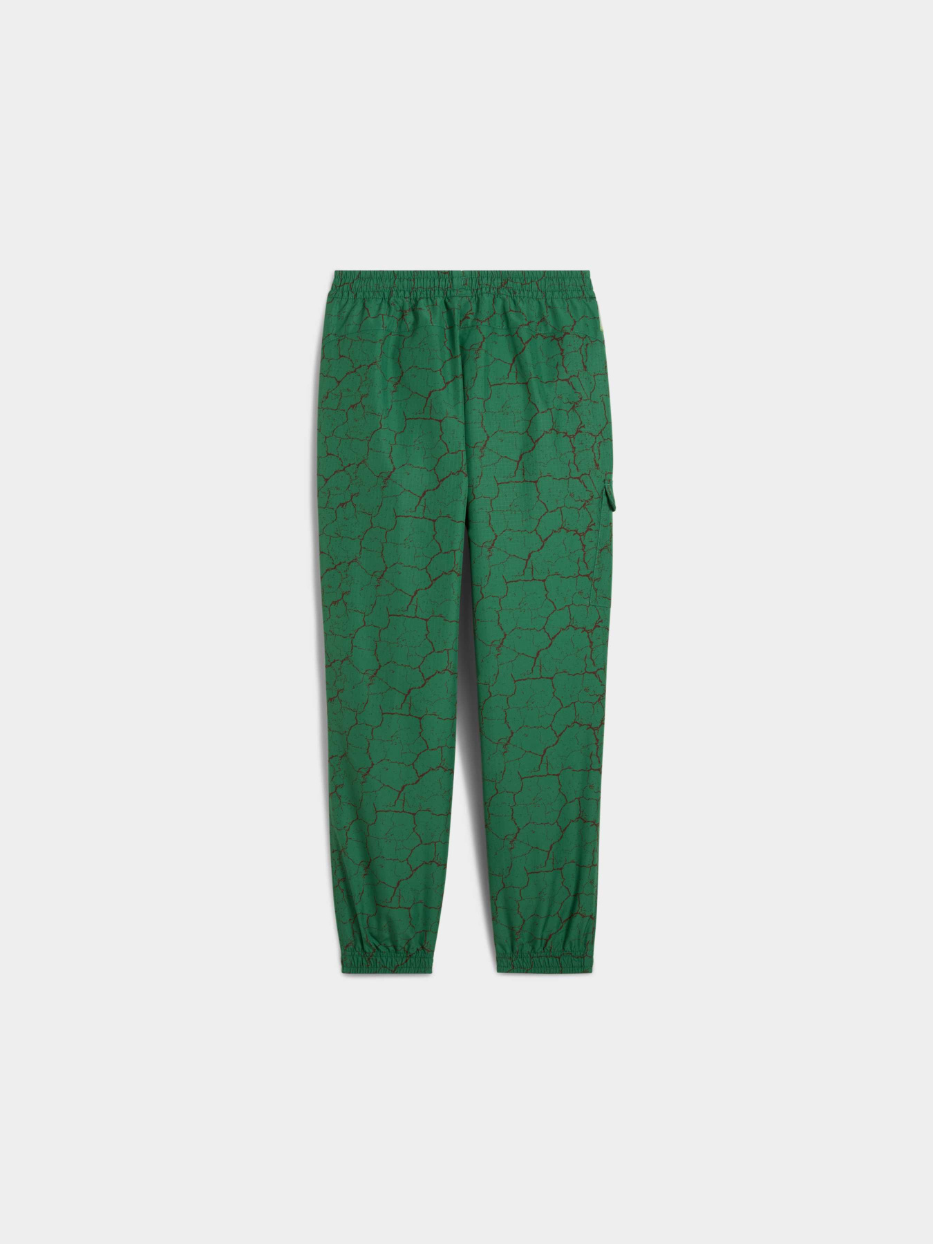 Штани PUMA x Tmnt Cargo Pants модель 630088 Фото
