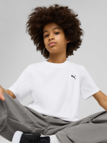 Футболки и поло PUMA Wardrobe Ess Tee модель 629877 Фото