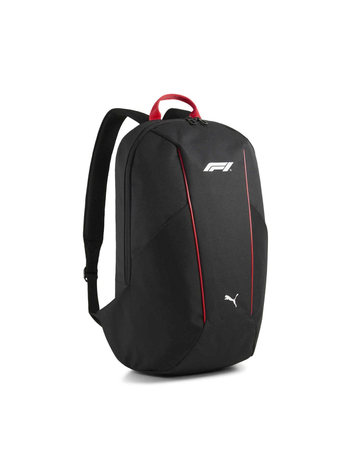 Рюкзаки PUMA F1 Large Backpack модель 091268 Фото