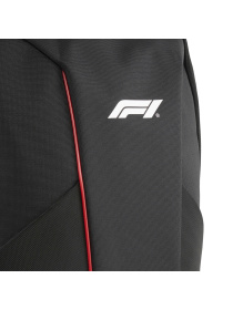 Рюкзаки PUMA F1 Large Backpack модель 091268 Фото