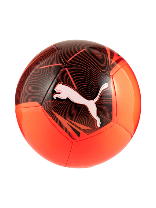 М'ячі PUMA Big Cat Ball модель 084589 Фото