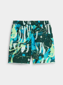 Шорты PUMA Hoop Dreamz Short Ii модель 630505 Фото