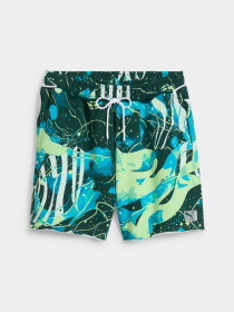Шорти PUMA Hoop Dreamz Short Ii модель 630505 Фото