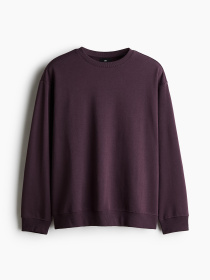 Худи и свитшоты H&M модель 74756 Фото