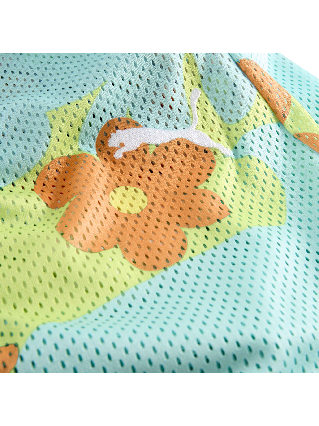 Шорты PUMA Hoops x Scooby Doo Short модель 630377 Шорты PUMA Hoops x Scooby Doo Short модель 630377 Фото