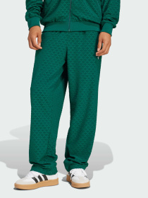 Штани Adidas Graphics модель JD0699 Фото