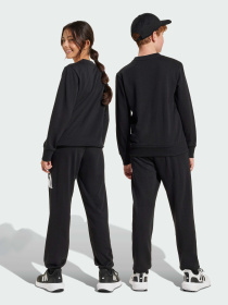Костюмы Adidas модель JD2102 Фото