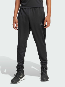 Брюки Adidas 3 Stripes модель IR9735 Фото