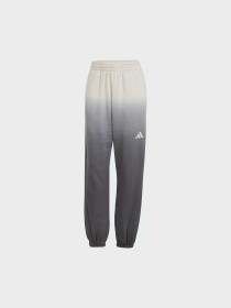 Штани Adidas модель JJ4585 Фото