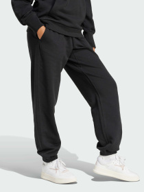 Брюки Adidas модель IX3810 Фото
