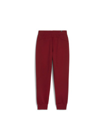 Штани PUMA Ess Sweatpants модель 586841 Фото