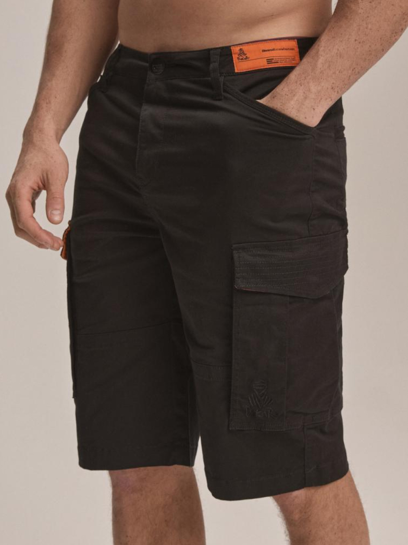 Шорты DIVERSE Dkr Cargo Sh модель 10044477 Фото